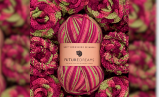 future dreams wool with west yorkshire spinners